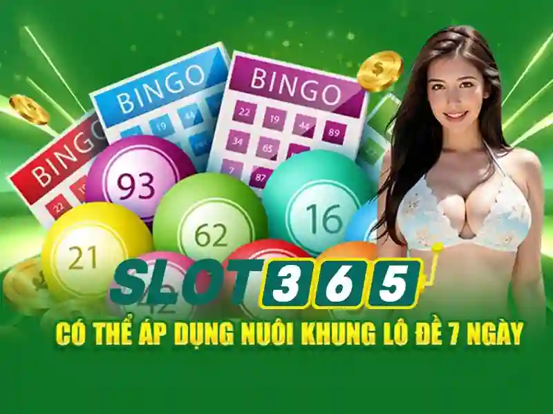 Slot365 là gì? Slot365 là gì?