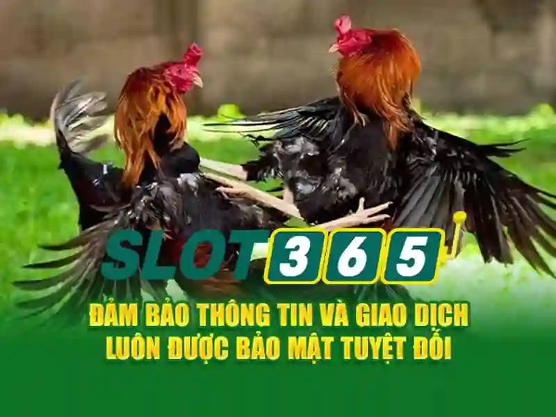 Nguồn gốc và sứ mệnh của slot365\n