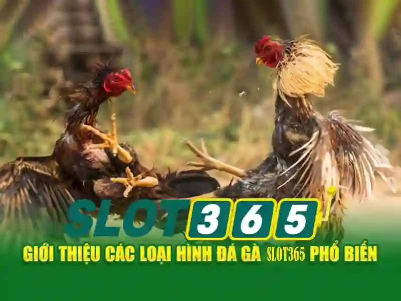 Các thể loại trò chơi phổ biến Các thể loại trò chơi phổ biến