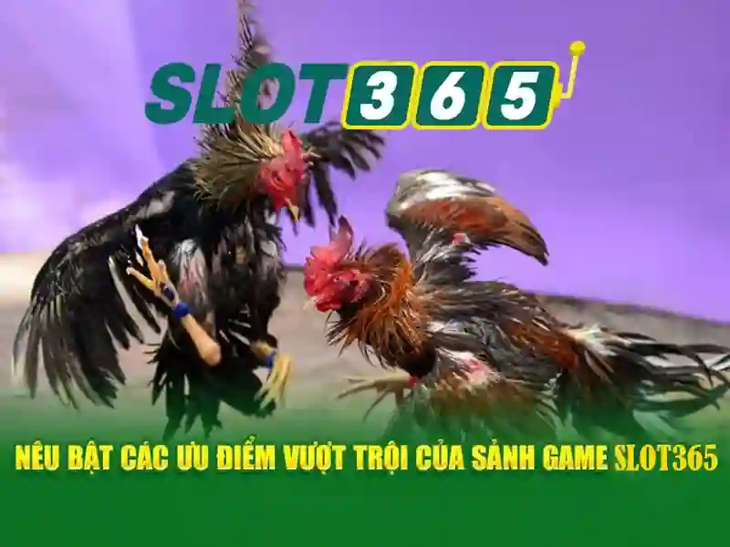 Slot365: Đánh giá tổng quan và hướng dẫn chơi