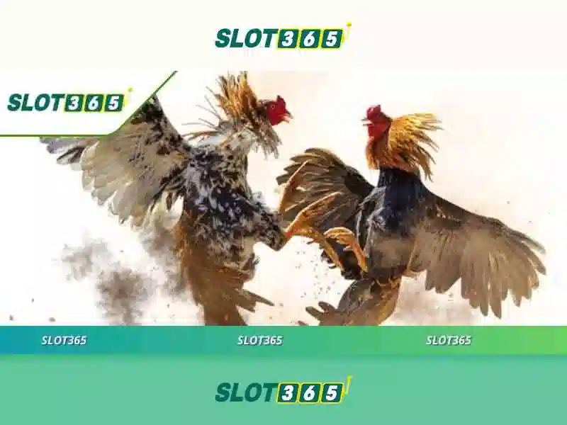 slot365 có lừa đảo không – Tổng quan chủ đề và giá trị cốt lõi