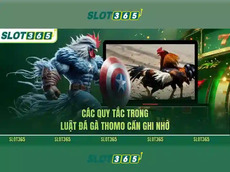 Minh_hoa_dieu_khoan_slot365