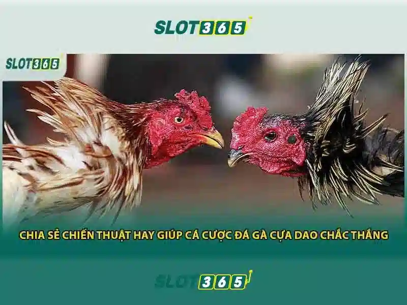 Slot365 và thế giới máy xèng trực tuyến