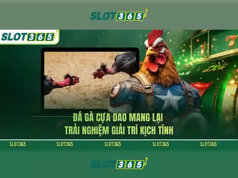 Các đổi mới và sứ mệnh Slot365 apk Các đổi mới và sứ mệnh Slot365 apk
