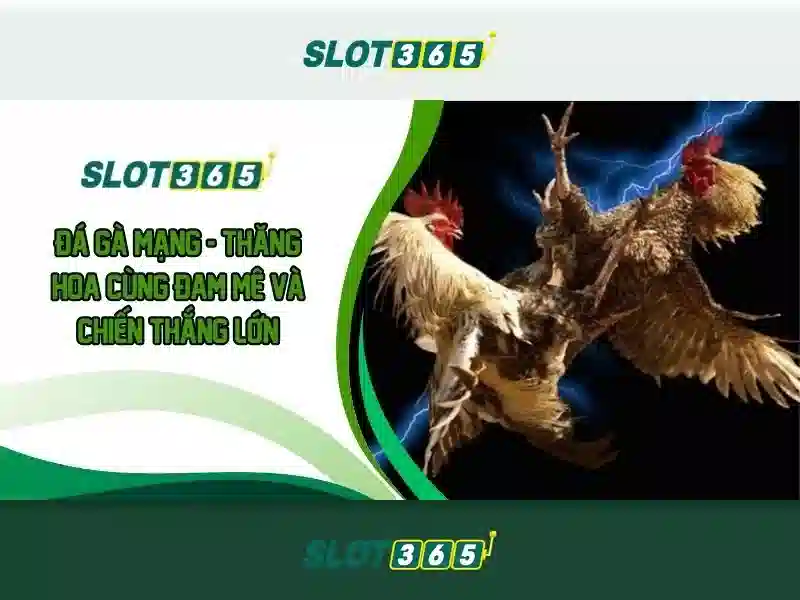 Trải nghiệm người dùng và phản hồi từ cộng đồng Trải nghiệm người dùng và phản hồi từ cộng đồng