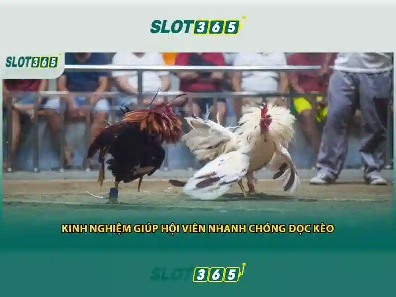 Slot365 - Trải nghiệm đánh bạc trực tuyến an toàn và thú vị