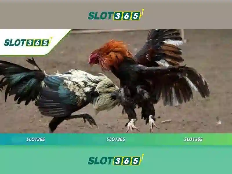 slot365 tảng 200k – tổng quan chủ đề và giá trị cốt lõi slot365 tảng 200k – tổng quan chủ đề và giá trị cốt lõi