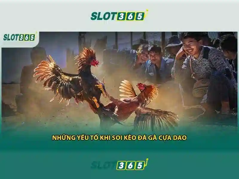 Giao diện thân thiện trên di động và máy tính