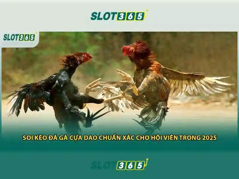 Slot365: Trải nghiệm slot trực tuyến đỉnh cao tại Việt Nam