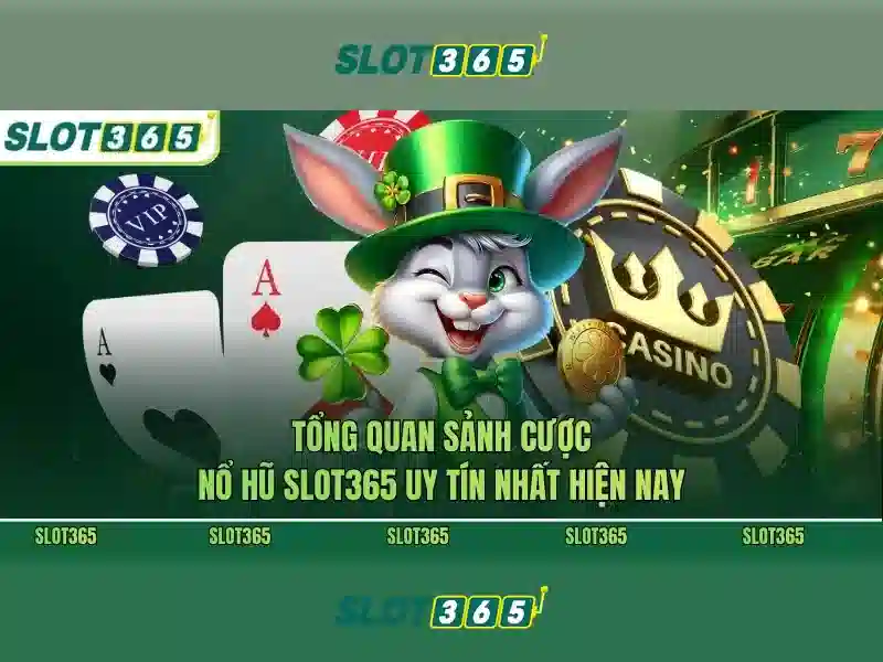 Slot365 là gì và tại sao nó thu hút người chơi