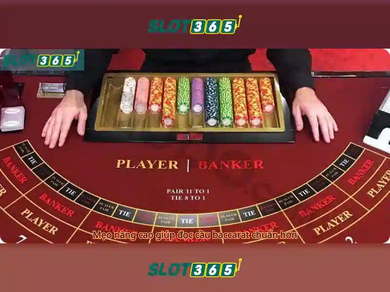 Slot365: Nền tảng chơi slot uy tín và giải trí