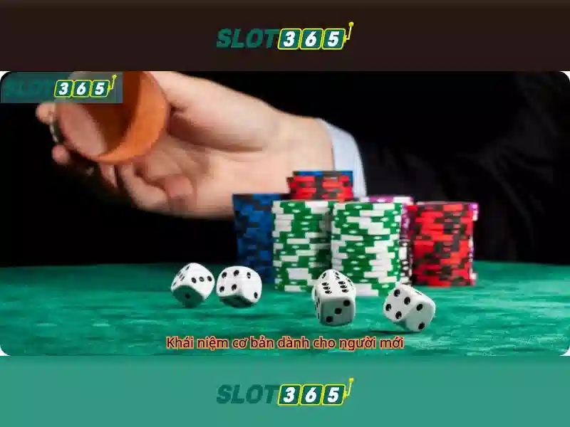 Slot365 là gì và tại sao người chơi tin dùng nền tảng này