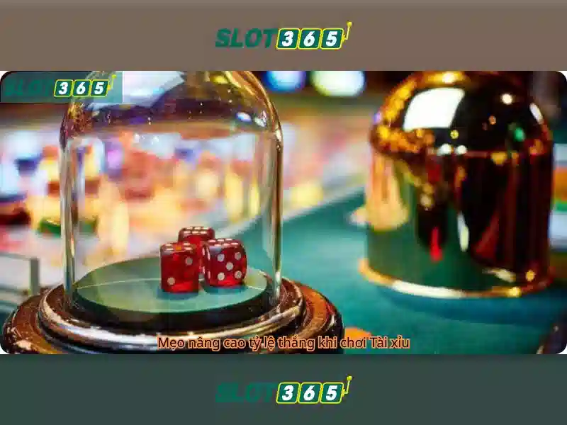 Slot365 – Nền tảng slot online hàng đầu