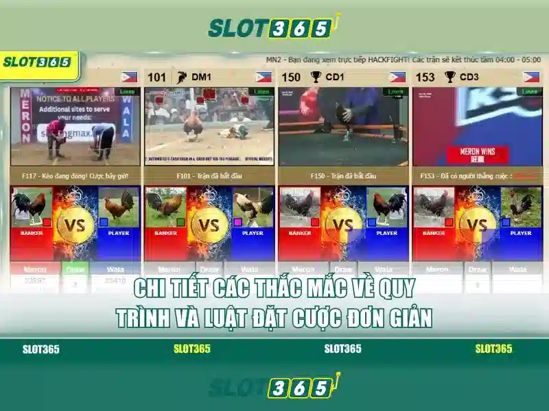 Nguồn gốc và sứ mệnh của rút thưởng Slot365