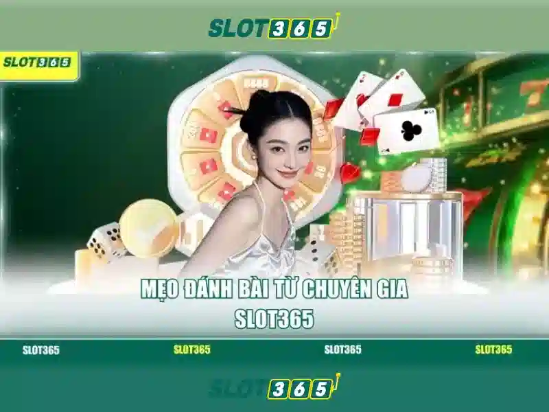 Slot365 là gì? Slot365 là gì?
