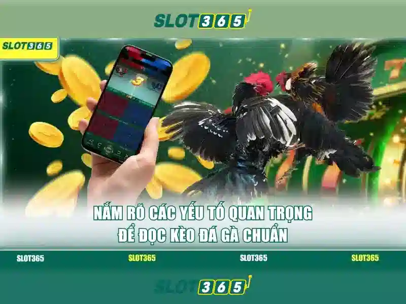 Hỗ trợ và tài nguyên học tập