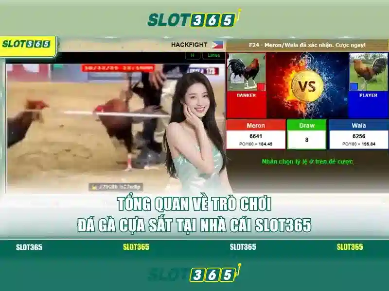Slot365: Tổng quan và trải nghiệm chơi slot online