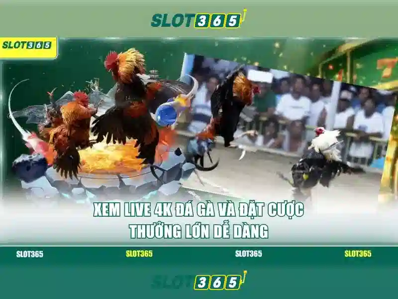 Trò chơi và tính năng nổi bật\n\n Trò chơi và tính năng nổi bật\n\n