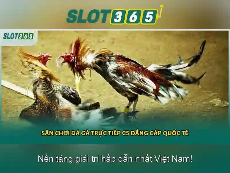 slot365 tái – Tổng quan chủ đề và giá trị cốt lõi