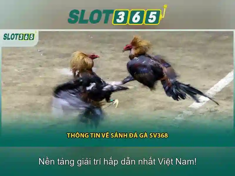 Tính năng nổi bật của Slot365\n\n Tính năng nổi bật của Slot365\n\n