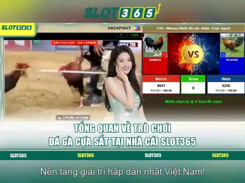 Slot365 - Nền tảng đánh bạc trực tuyến