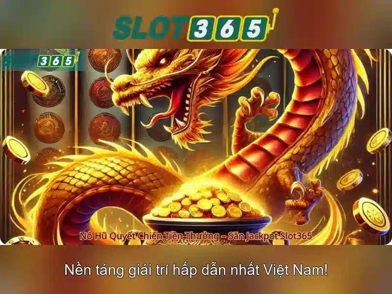Slot365 – Tổng quan về nền tảng cá cược trực tuyến