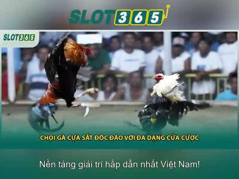 Slot365 - Trải nghiệm chơi slot hàng đầu tại Việt Nam