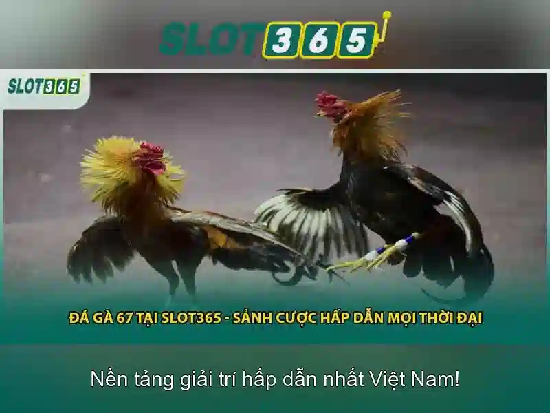 Slot365: Nền tảng trò chơi xoay số hàng đầu