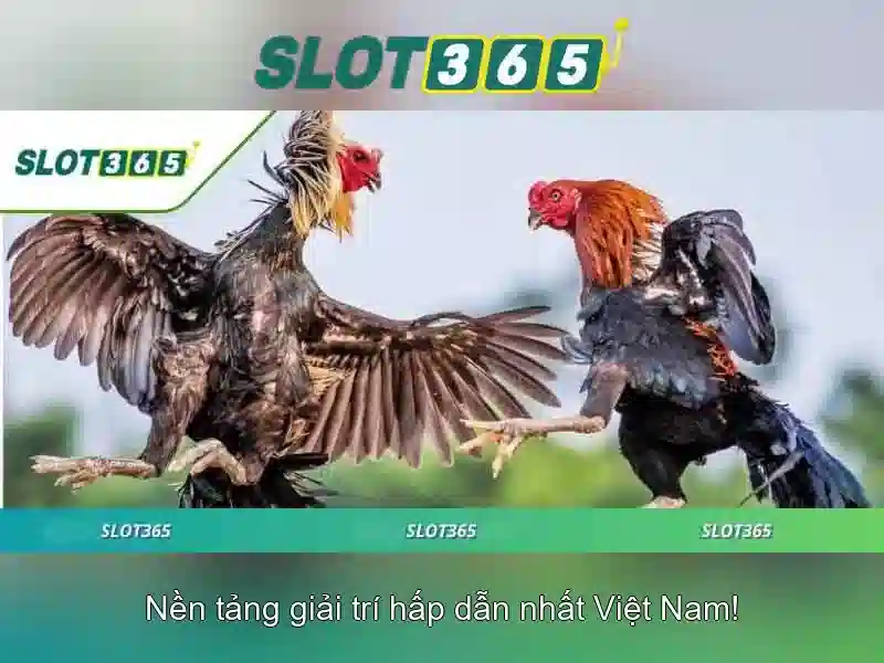 Slot365 - Trải nghiệm chơi slot hàng đầu tại Việt Nam