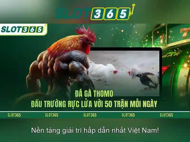 Khuyến mãi và thanh toán tại slot365