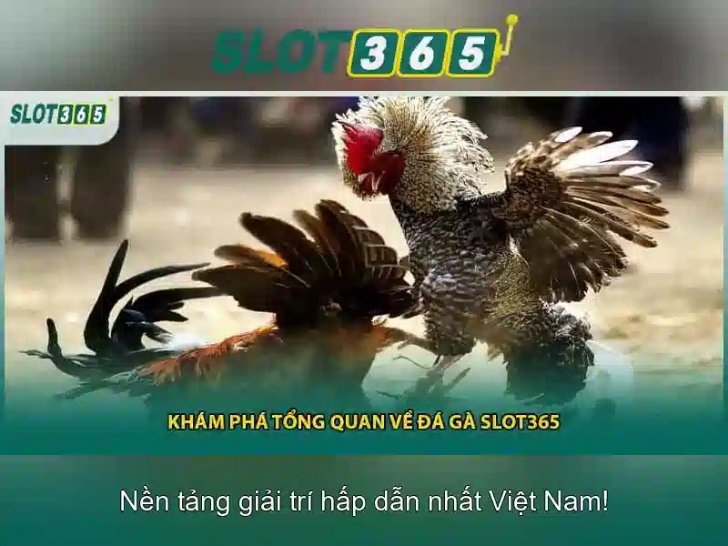 Slot365 là một nền tảng giải trí trực tuyến chuyên về trò chơi slot Slot365 là một nền tảng giải trí trực tuyến chuyên về trò chơi slot