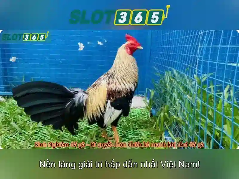 Trải nghiệm người dùng và danh mục slot đa dạng\n Trải nghiệm người dùng và danh mục slot đa dạng\n
