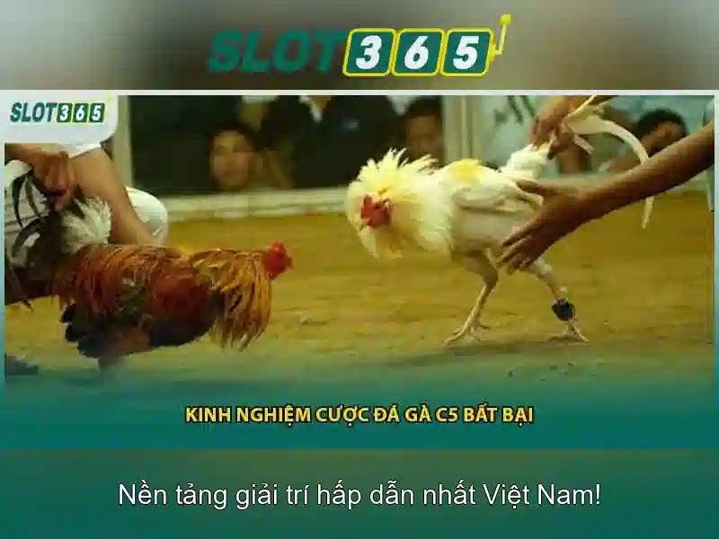 Giới thiệu Slot365