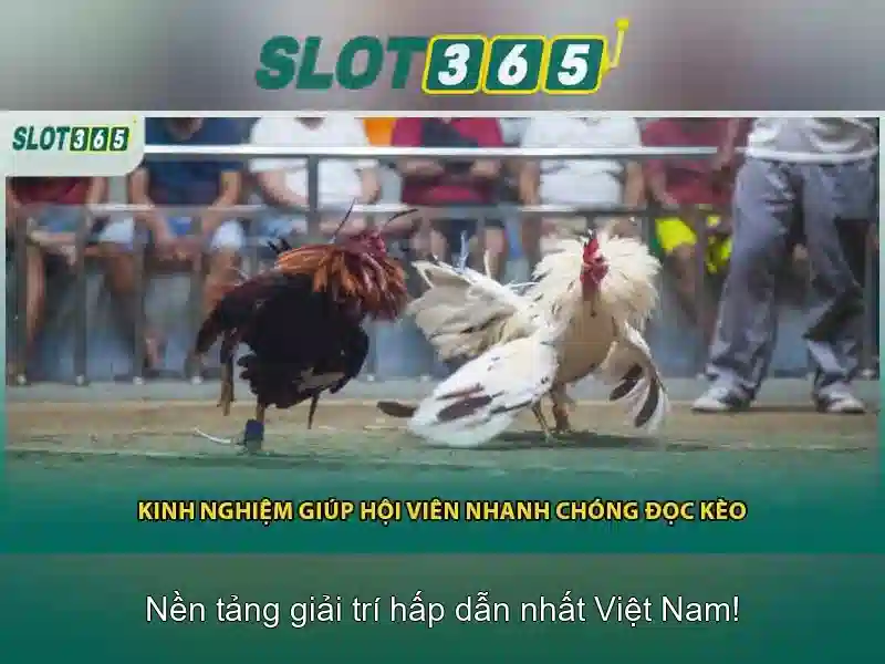 Trò chơi đa dạng và chủ đề