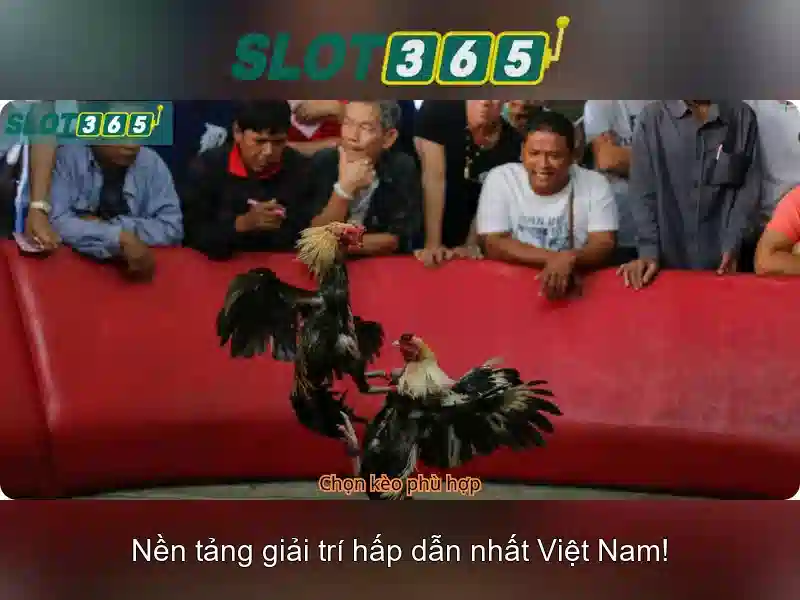 Các tính năng nổi bật cho người chơi Việt
