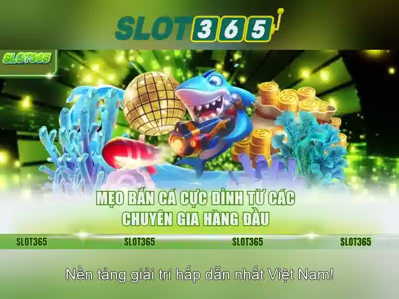 Kết luận Slot365 Kết luận Slot365