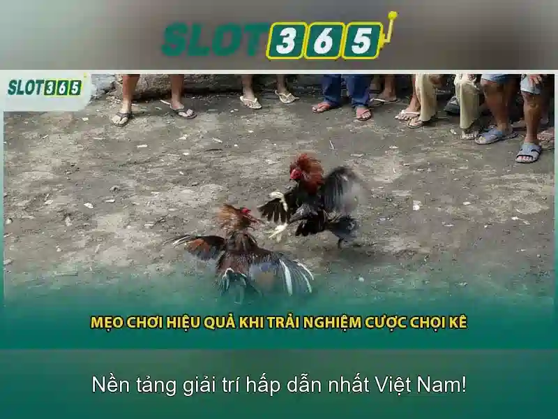 An toàn và tiền thưởng An toàn và tiền thưởng