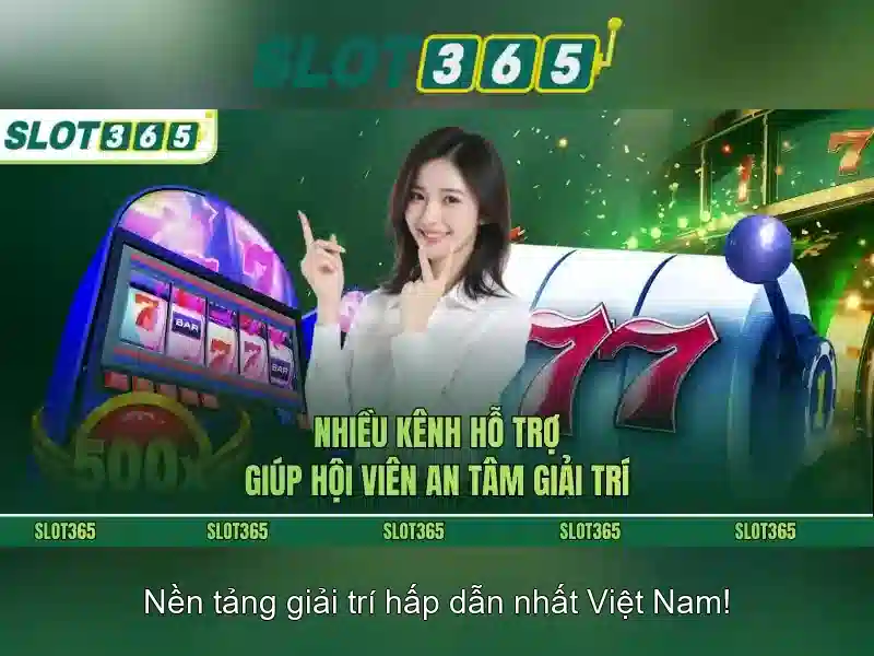 Trải nghiệm người dùng và phản hồi cộng đồng Trải nghiệm người dùng và phản hồi cộng đồng