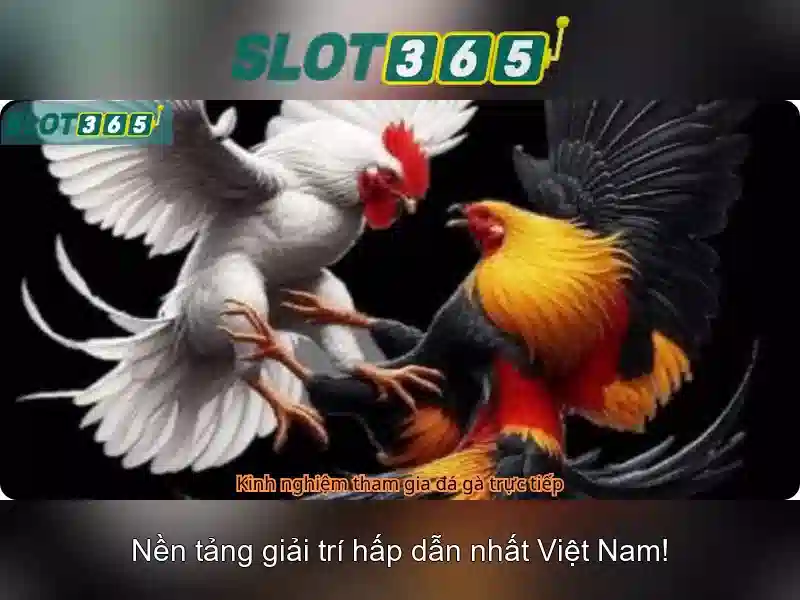 Lý do nên chọn Slot365 cho trải nghiệm casino trực tuyến-\n\n