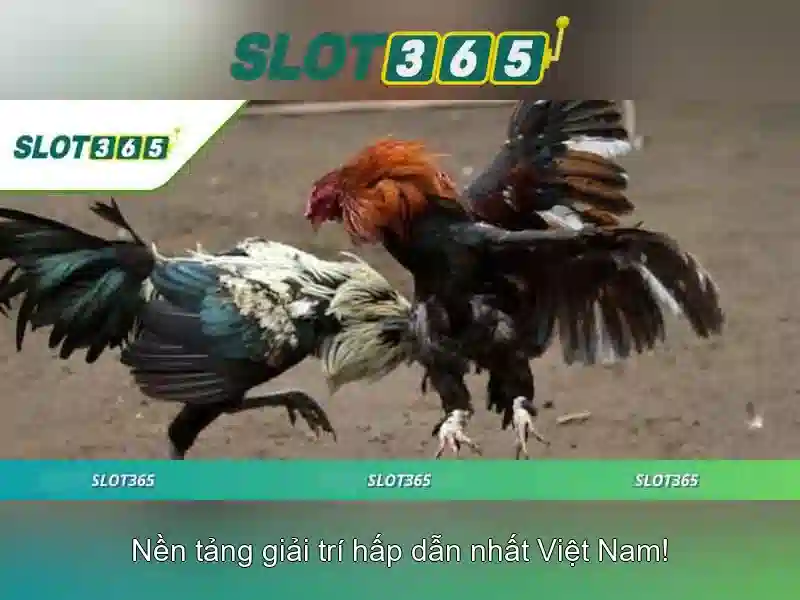 Slot365 - Khám phá thế giới trò chơi máy xèng trực tuyến