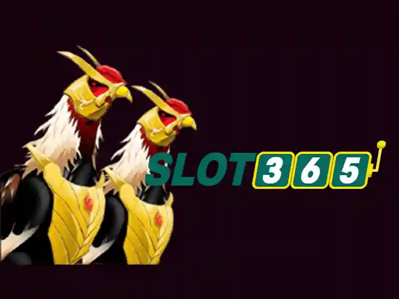 Slot365 – Nền tảng trò chơi xèng trực tuyến uy tín