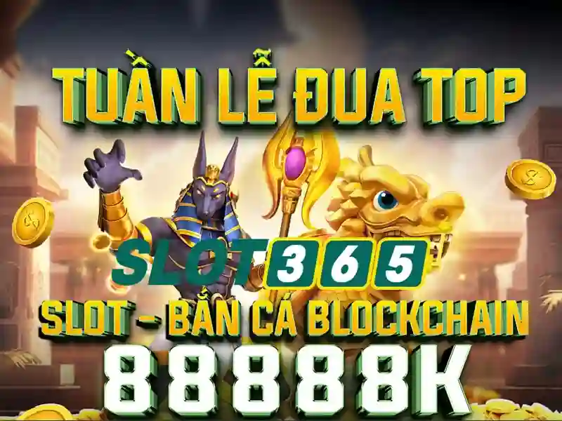 Đánh giá trải nghiệm người dùng
