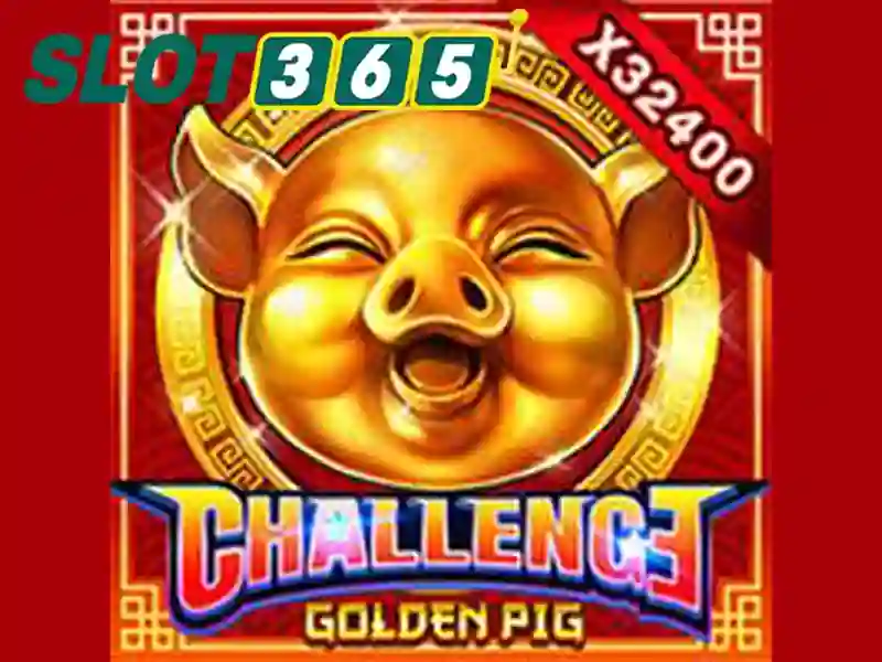 slot365 .com – Đánh giá, trải nghiệm và sự hợp pháp